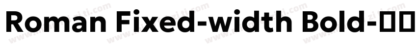 Roman Fixed-width Bold字体转换